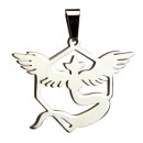Stainless steel pendant, silver