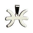 Stainless steel pendant, silver