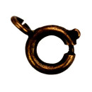 200 Springringe, 6mm, Antikrot