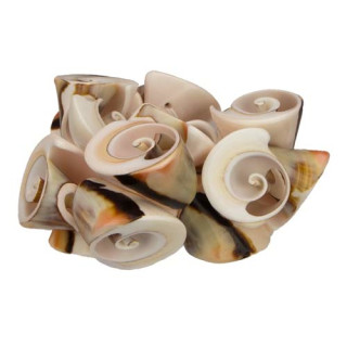 Shell bracelet, white-brown-pink