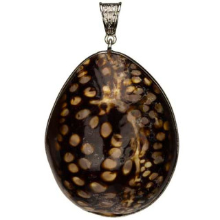 Large shell pendant, 60x45mm