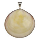 Large shell pendant, 60x55mm - only 2pcs left!