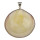 Large shell pendant, 60x55mm - only 2pcs left!