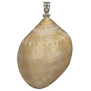 Large shell pendant, 75x55mm