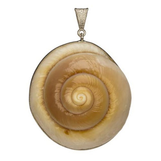 Large shell pendant, 60x25mm