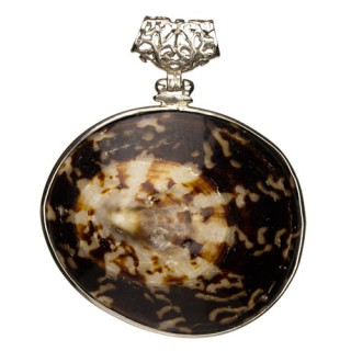Large shell pendant, 48x50mm - only 1pcs left!
