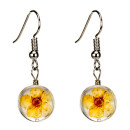 Glass earrings Orange