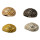 Fashion ring with stones