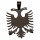 Stainless steel pendant eagle, black