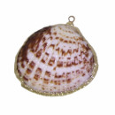 Pendant shell, white/brown-gold