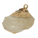 Pendant shell, cream gold - only 8pcs left!
