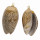 Pendant shell, brown