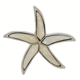 Pendant/brooch starfish, Shell