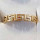 Edelstahlring, Gold