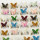 Stainless steel ring Butterfly, Silver-mixed