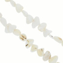 strand shell stones, creme, 81-14mm, 80cm