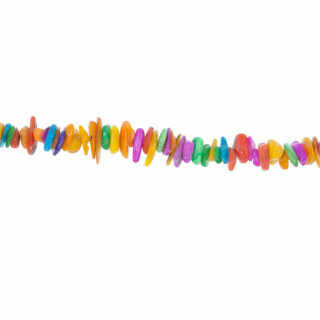 strand shell, mixed, 55cm