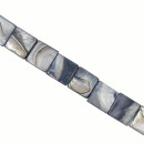 strand shell, blue-grey, 12mm