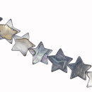 strand shell star, grey-blue, 18mm