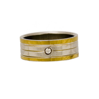 Stainless steel ring bicolor with stones, set