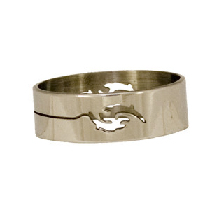 Edelstahlring, 6mm, Set