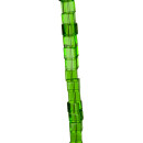 strand glass beads, cube 4mm, green