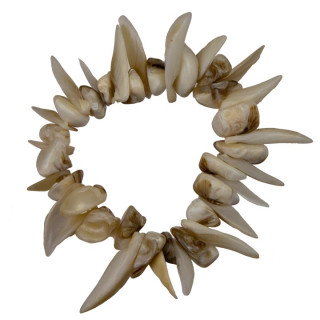 Armchain shell, nature