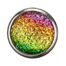 Clip synthetic resin, multicolored