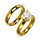 Stainless steel ringset with stone, gold