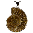 Anhänger Ammoniten, gefasst, 40mm