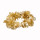 Bracelet shell