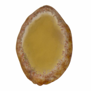 Agate disc yellow 60-69x5mm